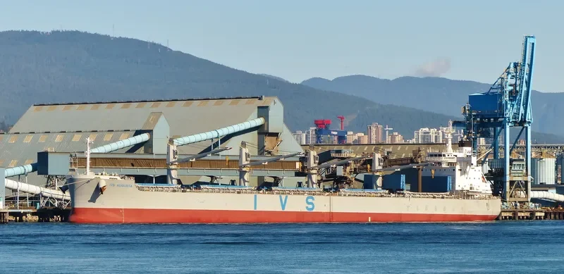 MORNING TRAIN Bulk Carrier IMO 9708904 photo 10