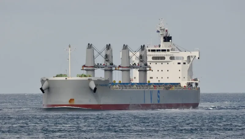 IVS PINEHURST Bulk Carrier IMO 9708916 photo 7