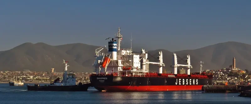 ES VANQUISH Bulk Carrier IMO 9708928 photo 5