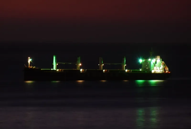 ES VANQUISH Bulk Carrier IMO 9708928 photo 7