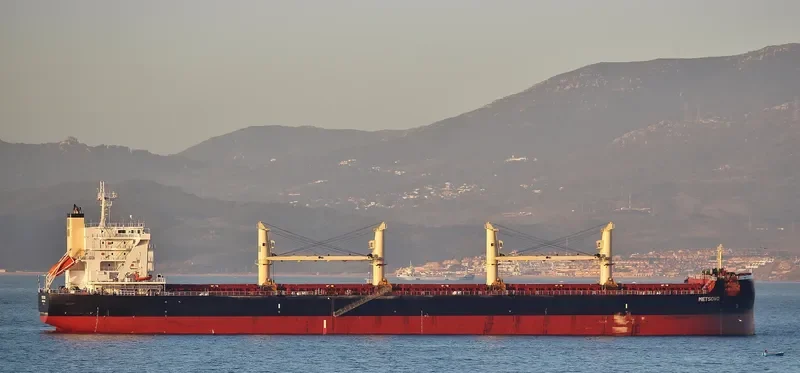METSOVO Bulk Carrier IMO 9708942 photo 9