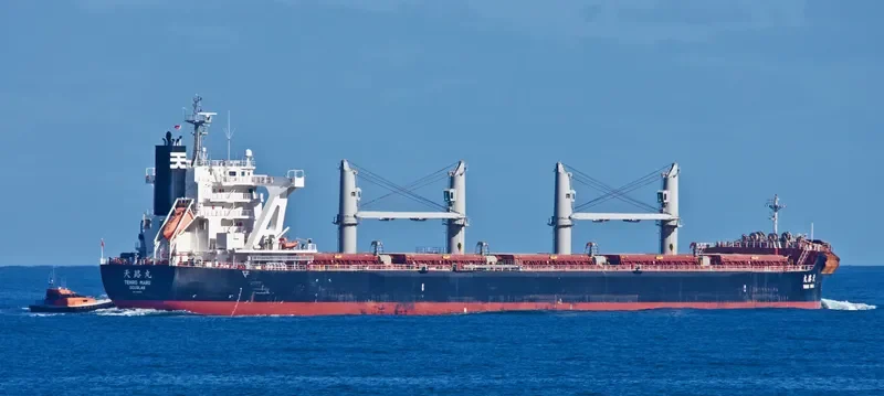 TENRO MARU Bulk Carrier IMO 9708954