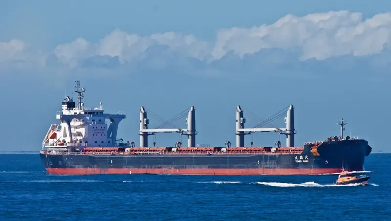 TENRO MARU Bulk Carrier IMO 9708954 photo 2