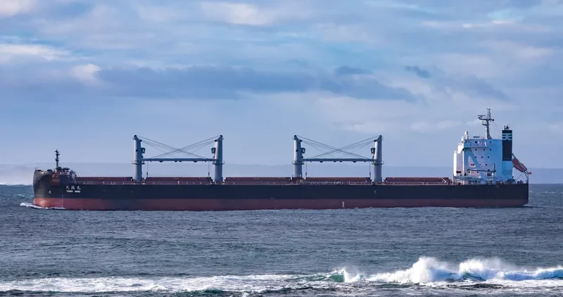 TENRO MARU Bulk Carrier IMO 9708954 photo 3