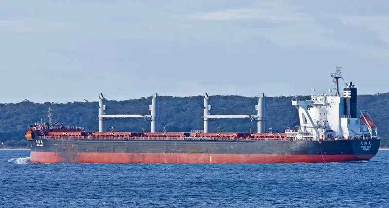 TENRO MARU Bulk Carrier IMO 9708954 photo 4