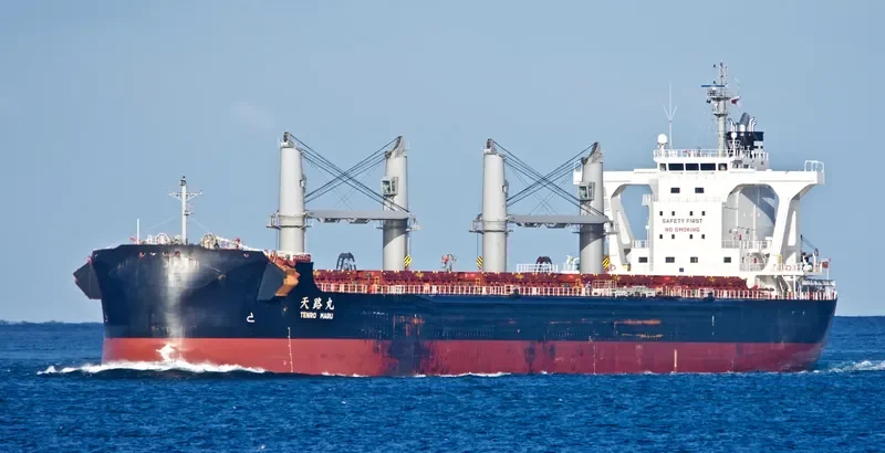 TENRO MARU Bulk Carrier IMO 9708954 photo 5