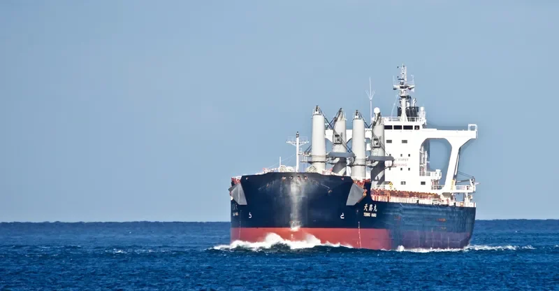 TENRO MARU Bulk Carrier IMO 9708954 photo 6