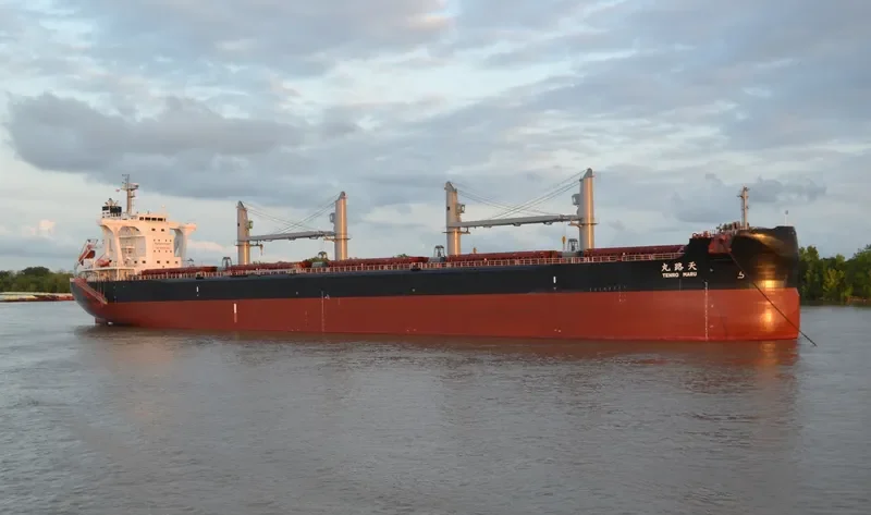 TENRO MARU Bulk Carrier IMO 9708954 photo 7