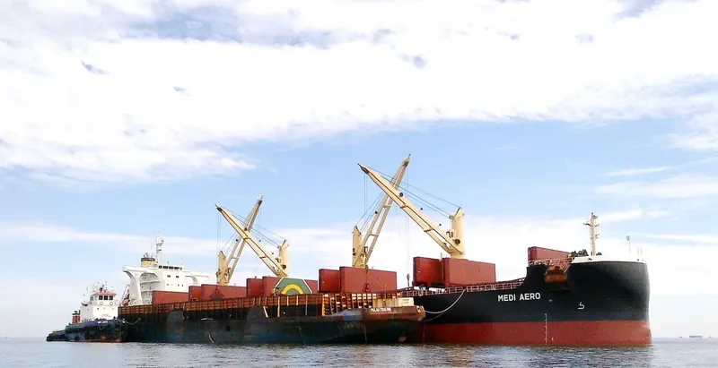 MEDI AERO Bulk Carrier IMO 9708966 photo 3