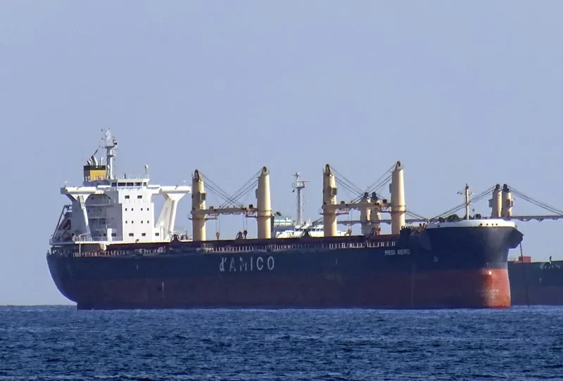MEDI AERO Bulk Carrier IMO 9708966 photo 4