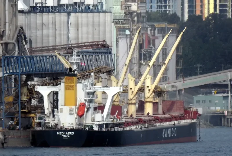 MEDI AERO Bulk Carrier IMO 9708966 photo 5