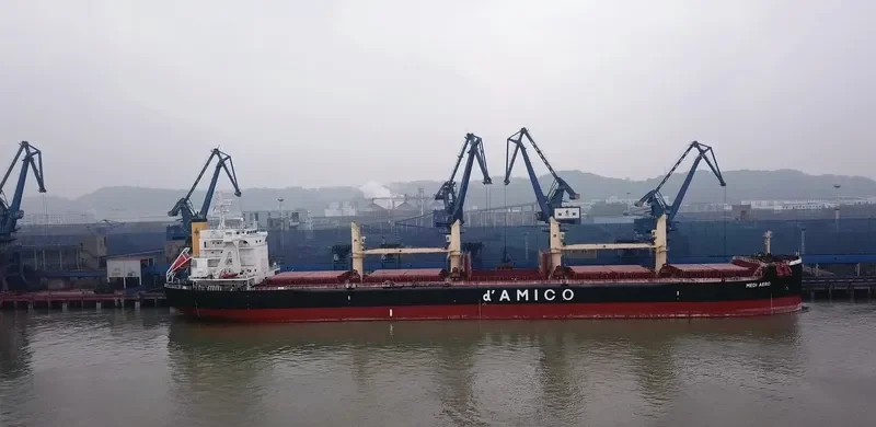 MEDI AERO Bulk Carrier IMO 9708966 photo 9