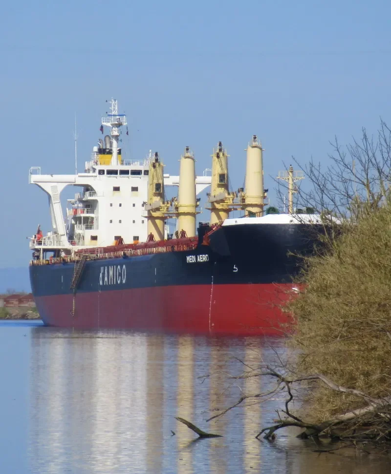 MEDI AERO Bulk Carrier IMO 9708966 photo 10