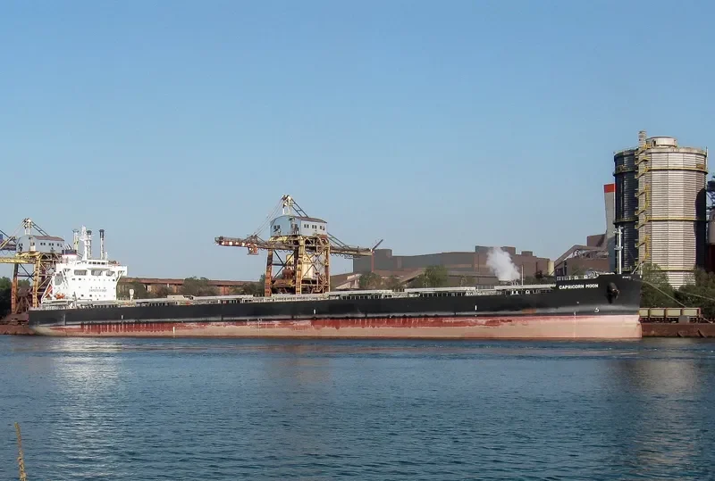 CAPRICORN MOON Bulk Carrier IMO 9708980