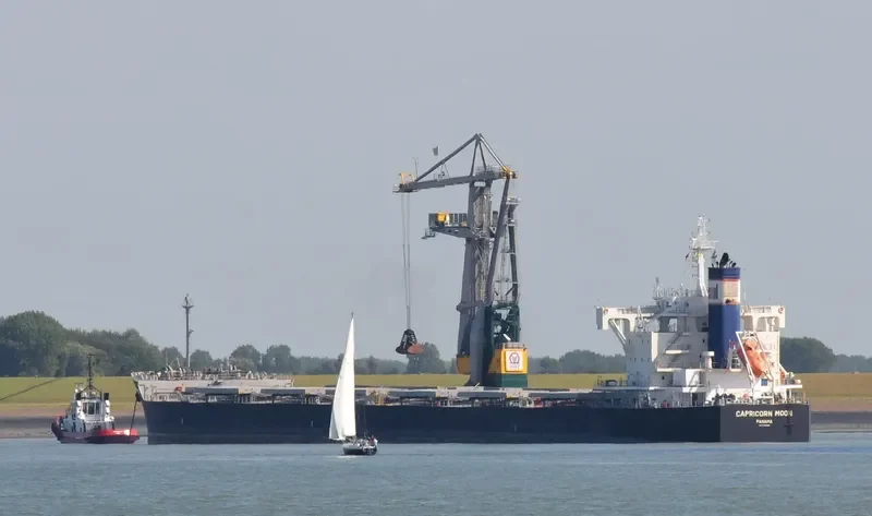 CAPRICORN MOON Bulk Carrier IMO 9708980 photo 2