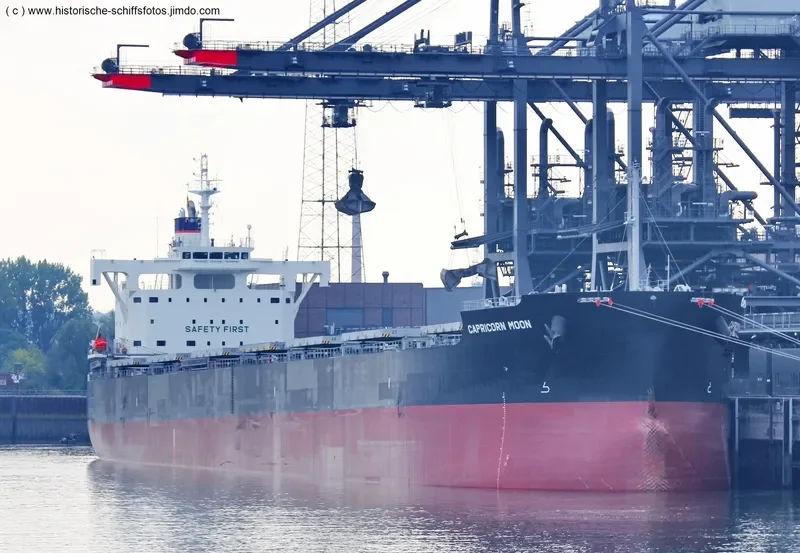 CAPRICORN MOON Bulk Carrier IMO 9708980 photo 5