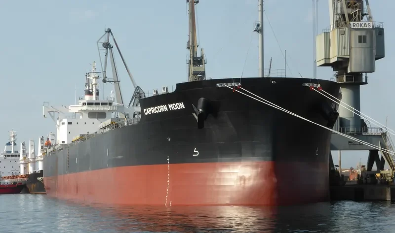 CAPRICORN MOON Bulk Carrier IMO 9708980 photo 6