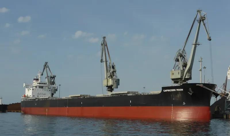 CAPRICORN MOON Bulk Carrier IMO 9708980 photo 7