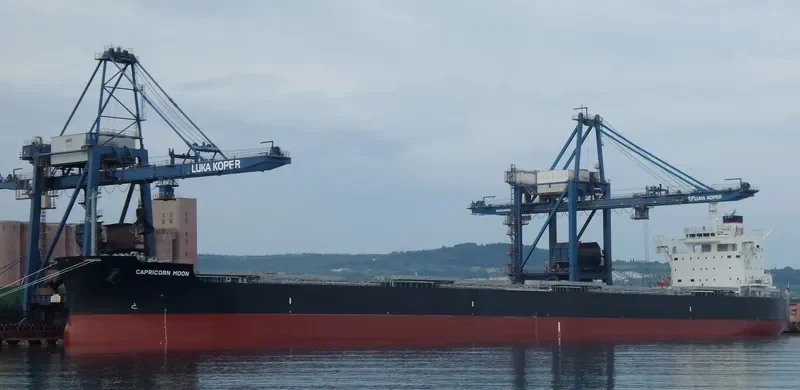 CAPRICORN MOON Bulk Carrier IMO 9708980 photo 8
