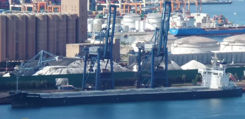 CAPRICORN MOON Bulk Carrier IMO 9708980 photo 9