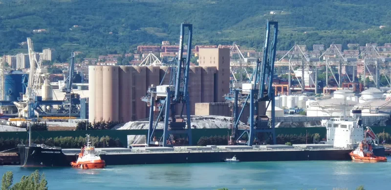 CAPRICORN MOON Bulk Carrier IMO 9708980 photo 10