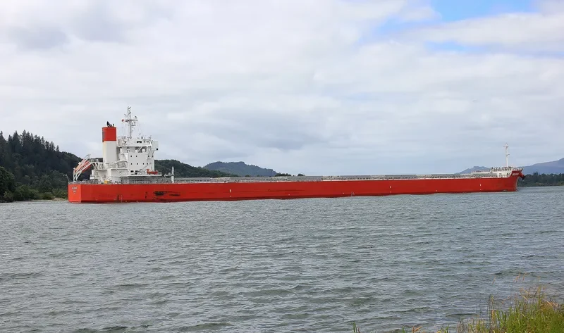 BELGRANO Bulk Carrier IMO 9708992 photo 5
