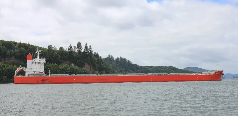 BELGRANO Bulk Carrier IMO 9708992 photo 6