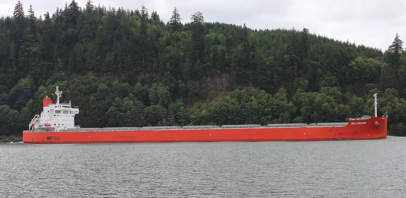BELGRANO Bulk Carrier IMO 9708992 photo 7