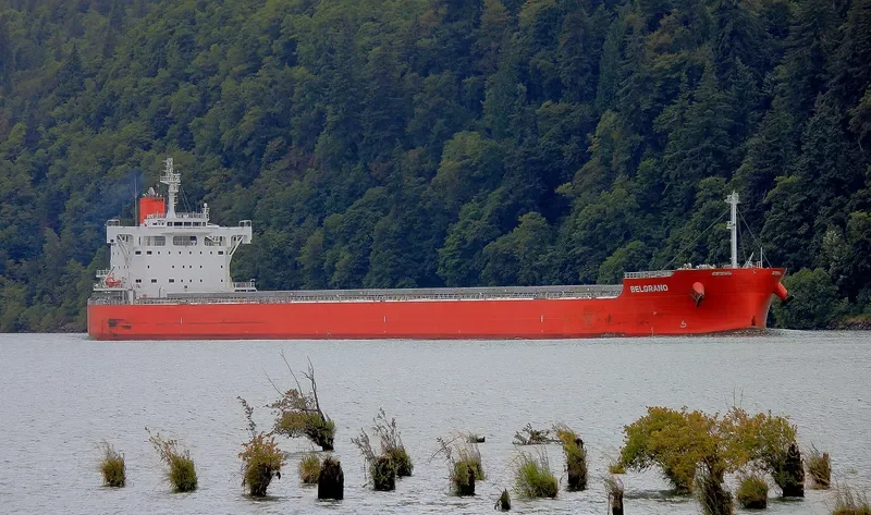 BELGRANO Bulk Carrier IMO 9708992 photo 8