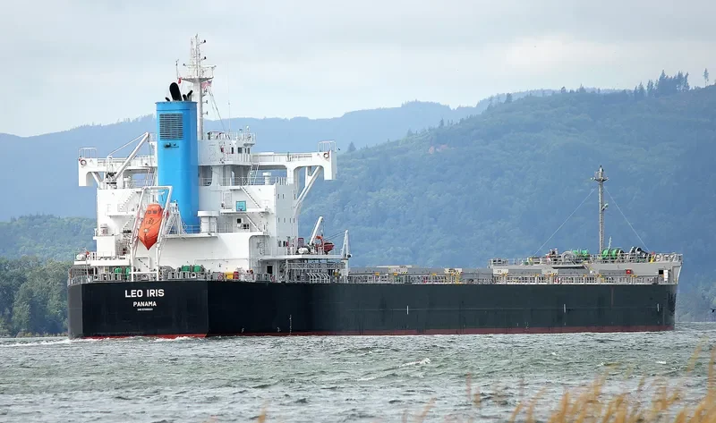 LEO IRIS Bulk Carrier IMO 9709001 photo 2