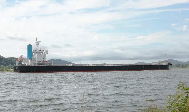 LEO IRIS Bulk Carrier IMO 9709001 photo 3