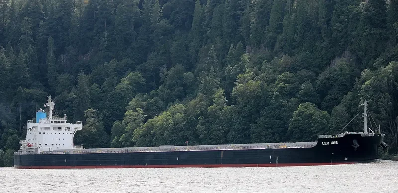LEO IRIS Bulk Carrier IMO 9709001 photo 4