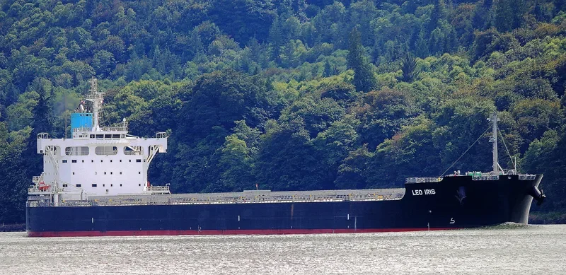 LEO IRIS Bulk Carrier IMO 9709001 photo 5