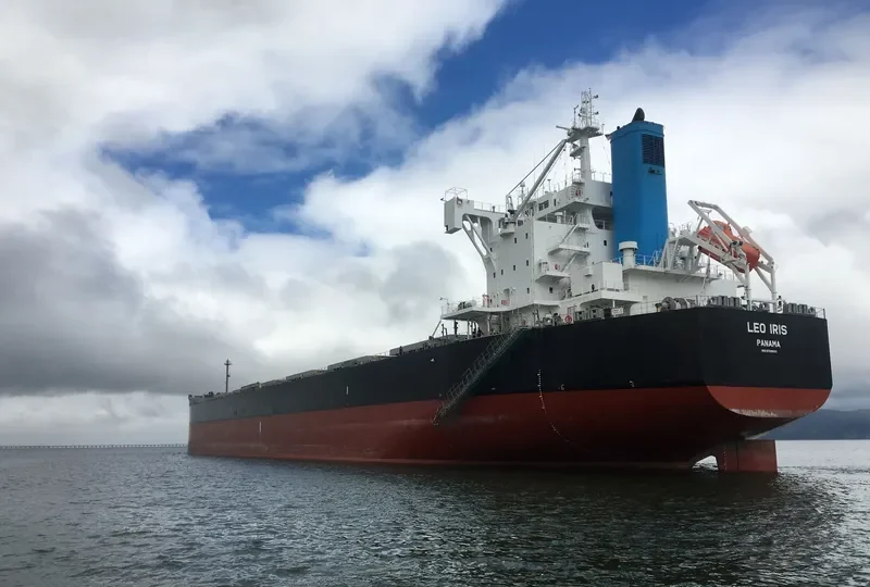 LEO IRIS Bulk Carrier IMO 9709001 photo 6