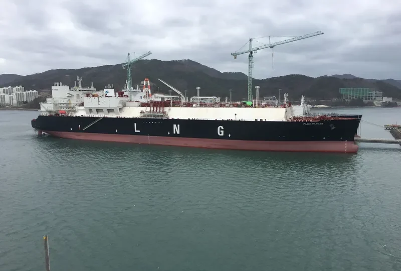 FLEX RANGER General Cargo IMO 9709025 photo 2