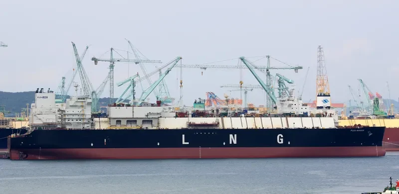 FLEX RANGER General Cargo IMO 9709025 photo 7