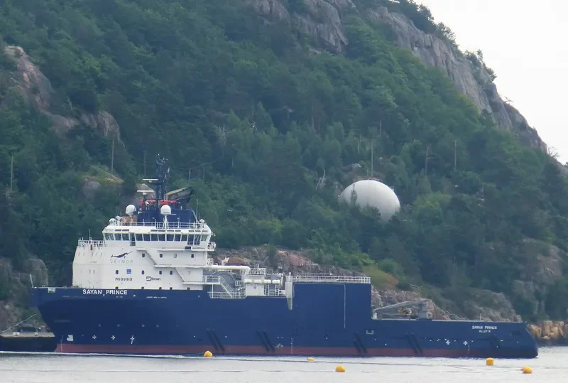 SAYAN PRINCE Offshore Vessel IMO 9709049 photo 6