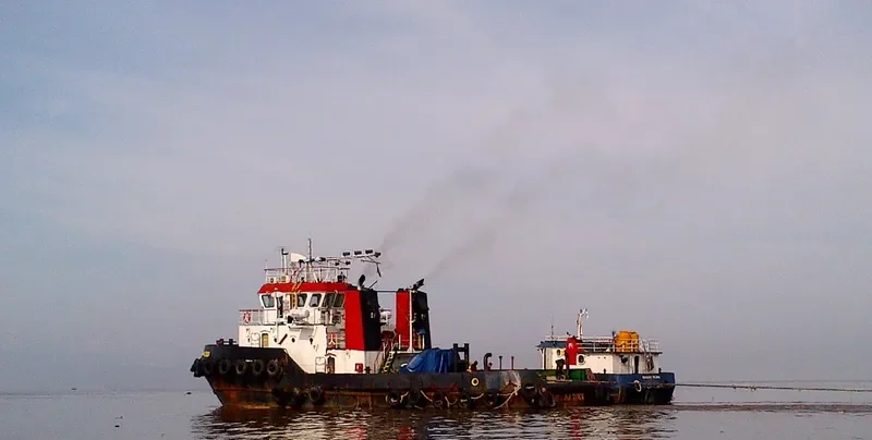 BUANA 2001 General Cargo IMO 9709180 photo 2