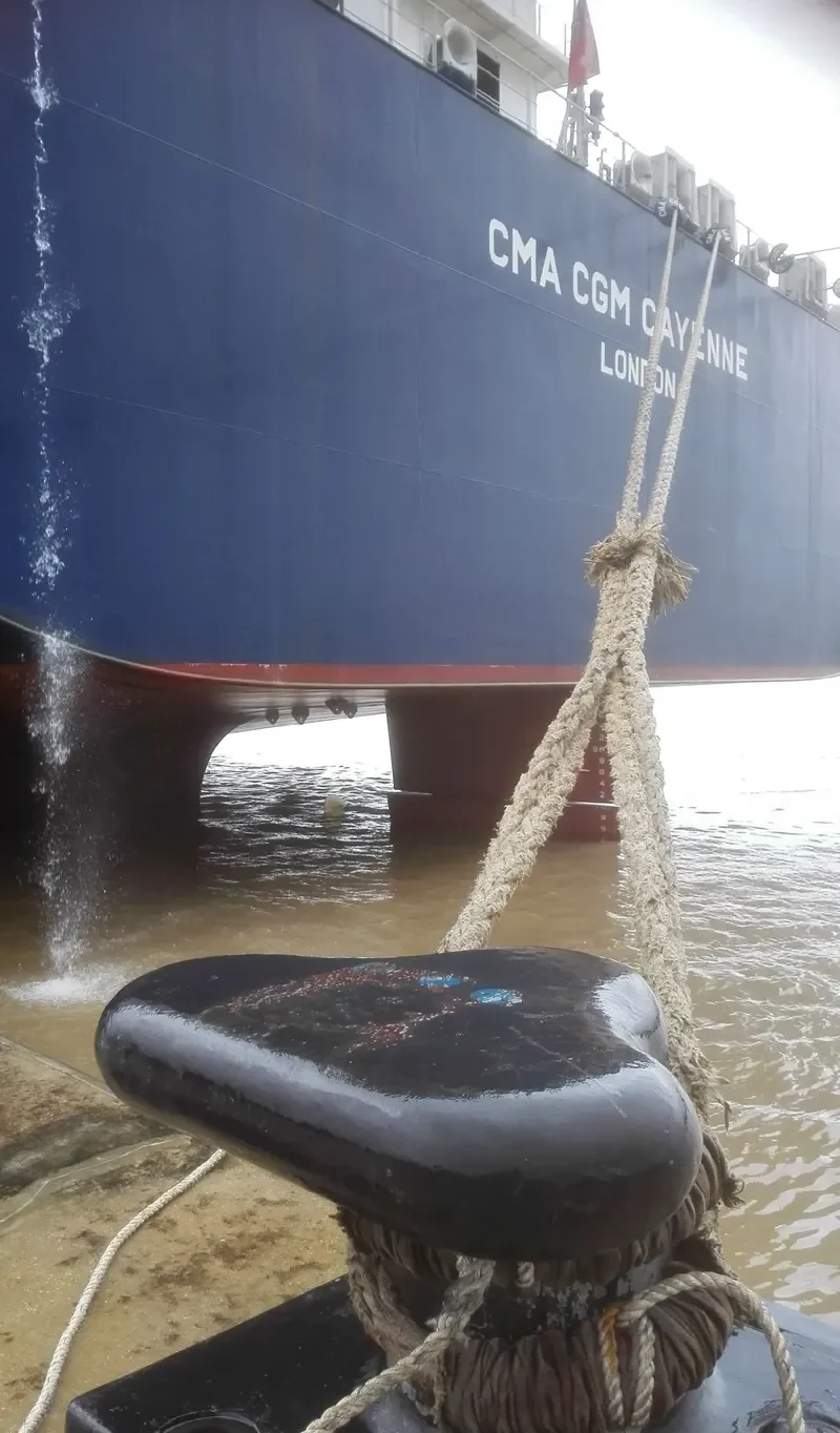 CMA CGM CAYENNE Container Ship IMO 9709192 photo 4