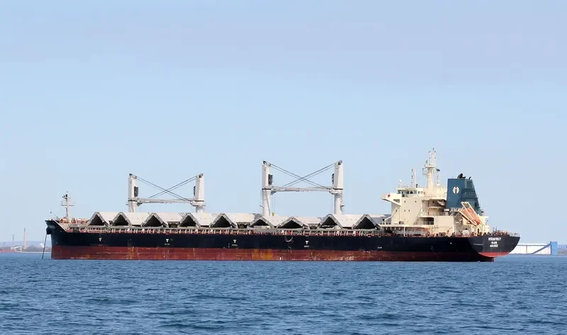 INTERLINK FIDELITY Bulk Carrier IMO 9709221 photo 2