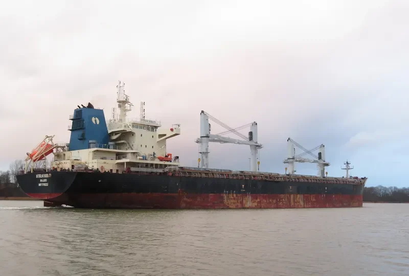 INTERLINK MOBILITY Bulk Carrier IMO 9709233 photo 6