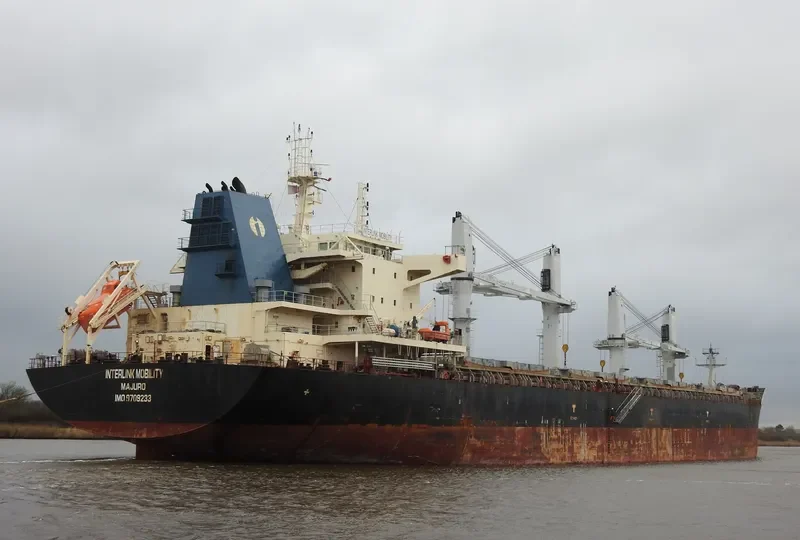 INTERLINK MOBILITY Bulk Carrier IMO 9709233 photo 7
