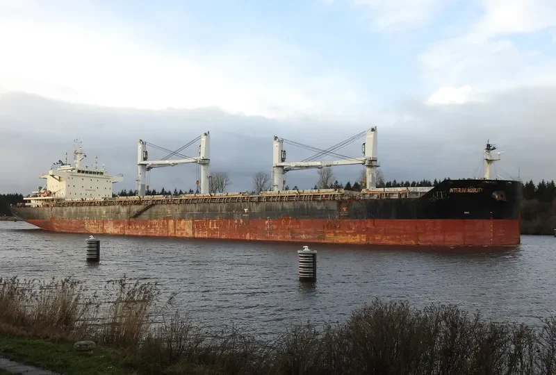 INTERLINK MOBILITY Bulk Carrier IMO 9709233 photo 8