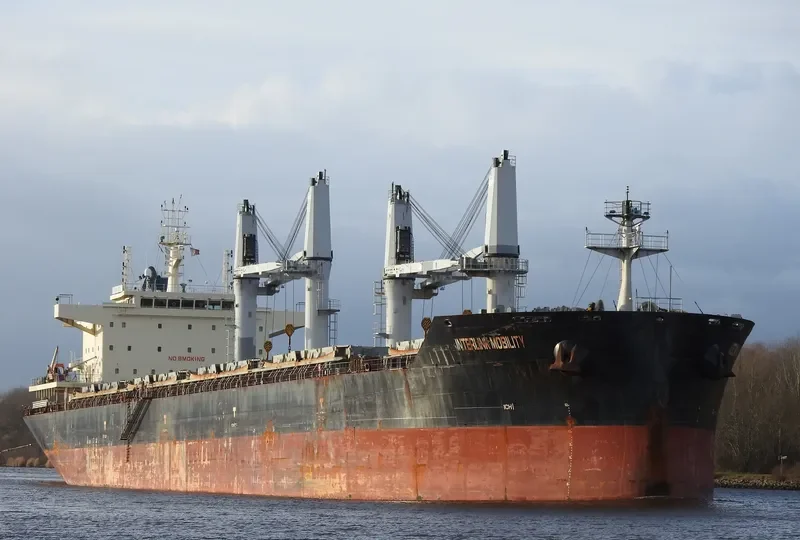 INTERLINK MOBILITY Bulk Carrier IMO 9709233 photo 9