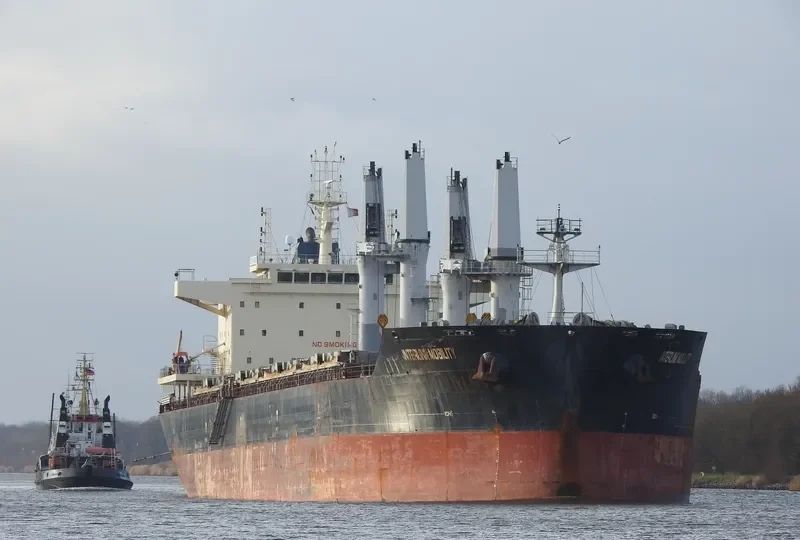 INTERLINK MOBILITY Bulk Carrier IMO 9709233 photo 10