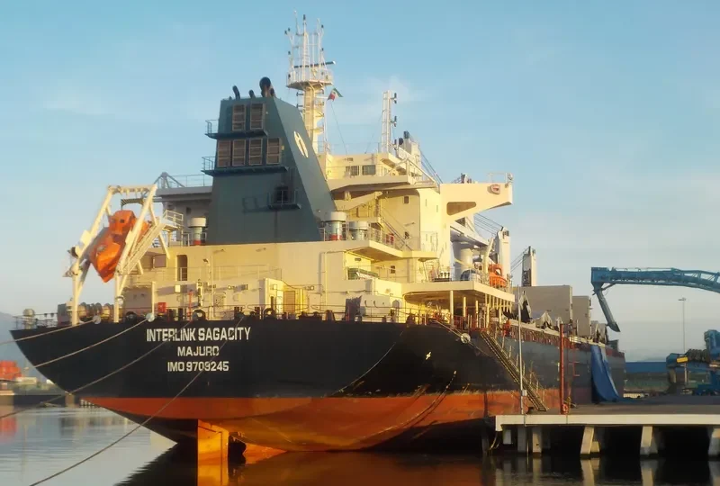 INTERLINK SAGACITY Bulk Carrier IMO 9709245 photo 3