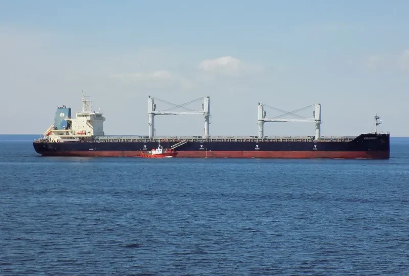 INTERLINK SAGACITY Bulk Carrier IMO 9709245 photo 8