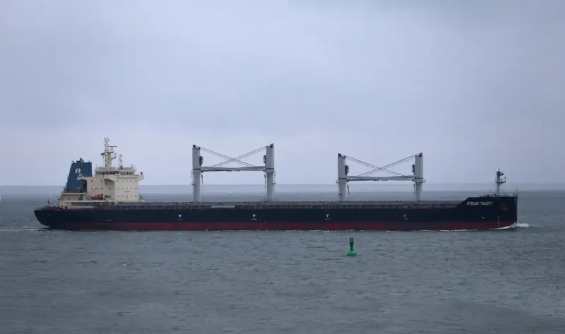 INTERLINK TENACITY Bulk Carrier IMO 9709257 photo 2