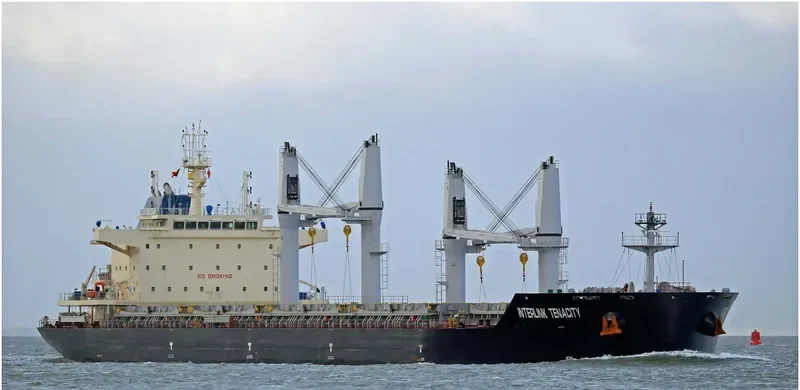 INTERLINK TENACITY Bulk Carrier IMO 9709257 photo 4