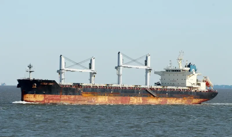 INTERLINK TENACITY Bulk Carrier IMO 9709257 photo 7